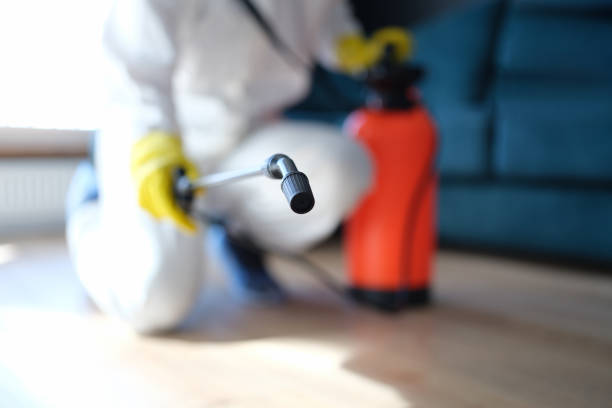 Best Industrial Mold Remediation  in Mifflinburg, PA