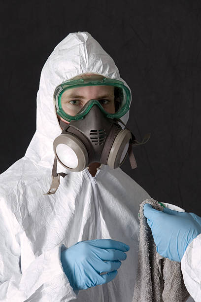 Best Water Damage & Mold Remediation  in Mifflinburg, PA